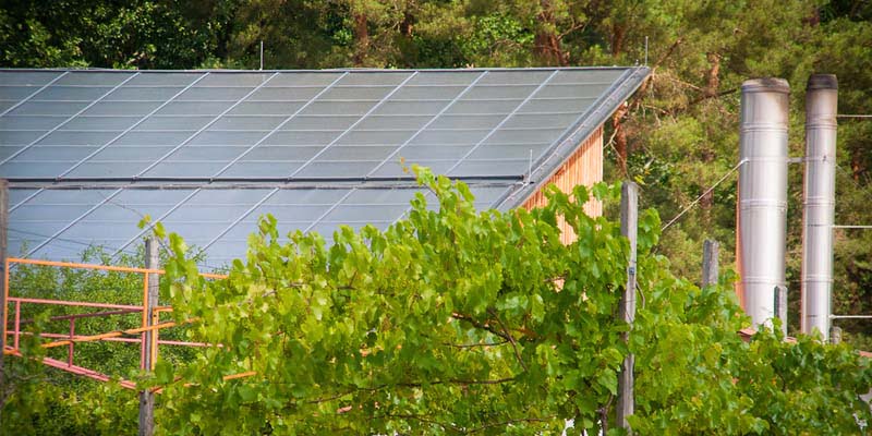 Soherwardia Solar Energy's Agricultural Solar Solutions in Pakistan 3 Agricultural Solar Solutions in Pakistan